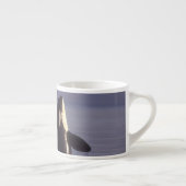 Spyhopping Orca Killer Whale Espresso Kop (Rechts)