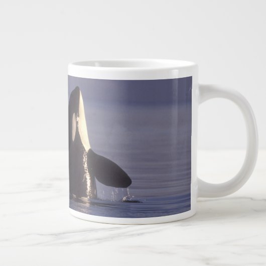 Spyhopping Orca Killer Whale Jumbo Mok (Rechts)