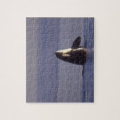 Spyhopping Orca Killer Whale Legpuzzel (Verticaal)