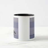 Spyhopping Orca Killer Whale Mok (Midden)