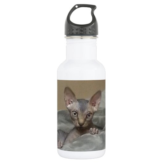Spynx kitten waterfles (Voorkant)