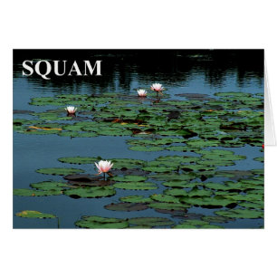 Squam Lake Lilies