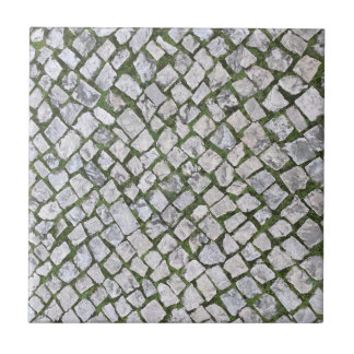 Square Cobblestone Rock Pattern met Green Moss Tegeltje