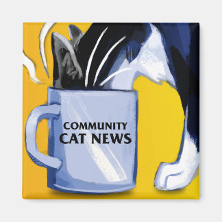Square Community Cat Nieuws Magneet