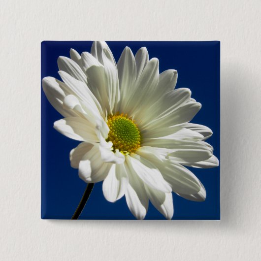 Square Daisy Button (Voorkant)