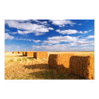 Square hay bales in een veld