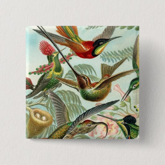 Square Hummingbird Button (Voorkant)