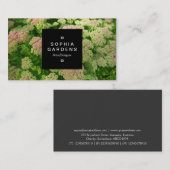 Square Label 01a - Sedum Autumn Joy (Voorkant / Achterkant)