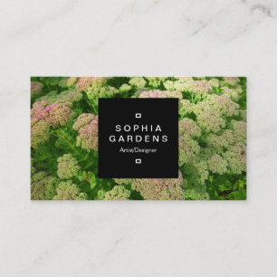 Square Label 01a - Sedum Autumn Joy