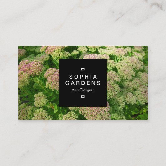 Square Label 01a - Sedum Autumn Joy (Voorkant)