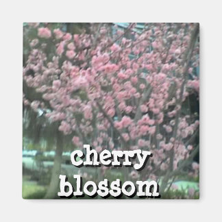 Square Magnet Magneet