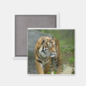 Square Magnet Magneet (Voorkant / Achterkant)