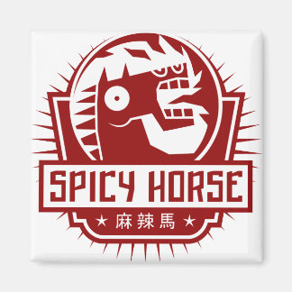 Square Magnet Magneet