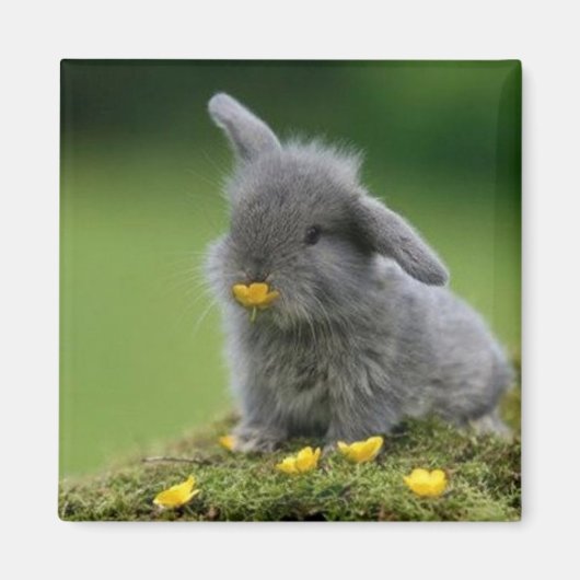 Square magnet magneet (Voorkant)