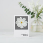 Square Photo 0162 - Cosmos Flower on Grey Visitekaartje (Staand voorkant)