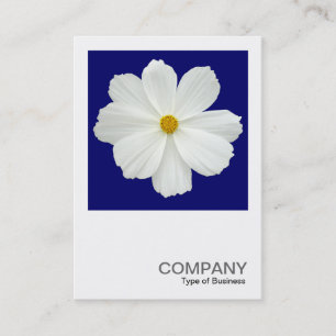 Square Photo 0166 - Cosmos Flower on Dark Blue Visitekaartje
