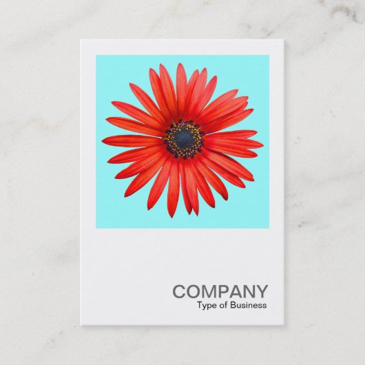 Square Photo 0344 - Red Devil on Ice Blue Visitekaartje (Voorkant)