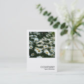 Square Photo 042 - Daisies Visitekaartje (Staand voorkant)