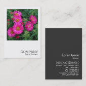 Square Photo 0492 - Michaelmas Daisies Visitekaartje (Voorkant / Achterkant)