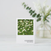 Square Photo 0513 - Daisy Meadow Visitekaartje (Staand voorkant)