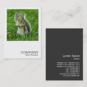 Square Photo 0553 - Startled Gray Squirrel Visitekaartje (Voorkant / Achterkant)