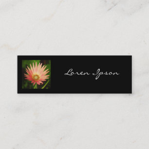 Square Photo - African Daisy Mini Visitekaartje