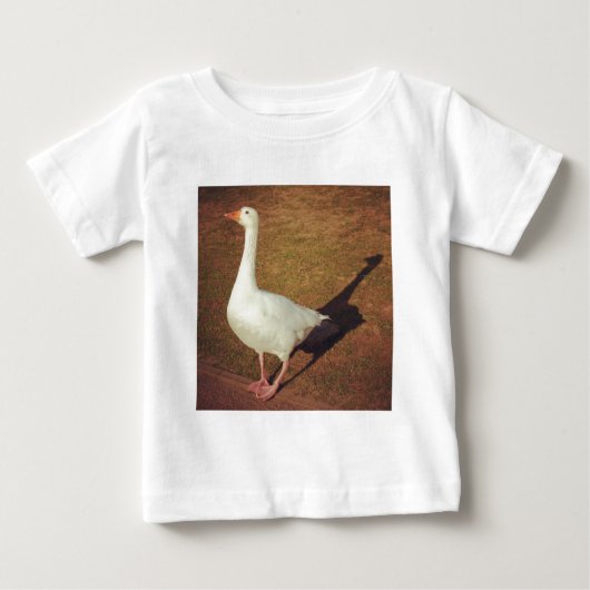 Square Photo - Goose (Voorkant)