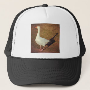 Square Photo - Goose Trucker Pet