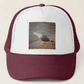 Square Photo - Squawach Seagull Trucker Pet (Voorkant)