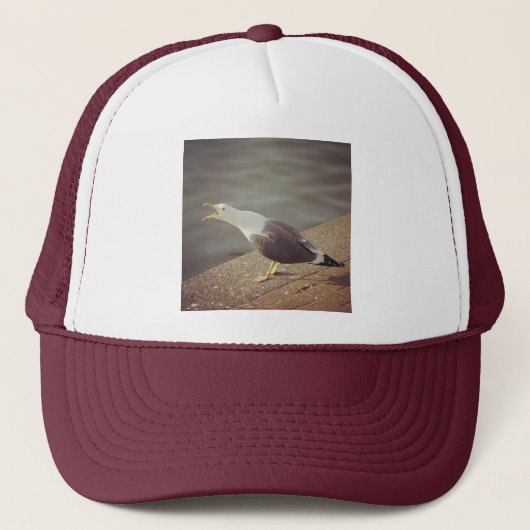 Square Photo - Squawach Seagull Trucker Pet (Voorkant)