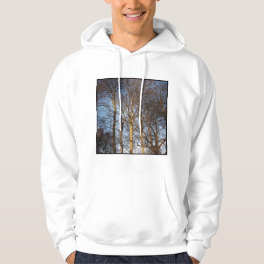 Square Photo - Sunlit Winter Trees Hoodie (Voorkant)