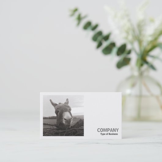 Square Photo (v2) - Friendly Donkey Visitekaartje (Staand voorkant)