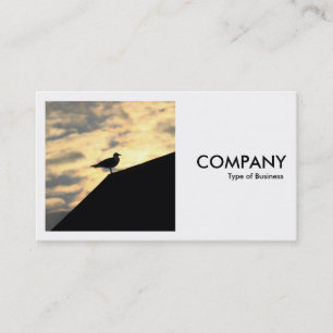 Square Photo (v2) - Herring Gull Sunset Visitekaartje
