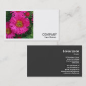 Square Photo (v2) - Michaelmas Daisies 03 Visitekaartje (Voorkant / Achterkant)