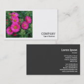 Square Photo (v2) - Michaelmas Daisies Visitekaartje (Voorkant / Achterkant)