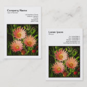Square Photo (v3) - African Daisies Visitekaartje (Voorkant / Achterkant)