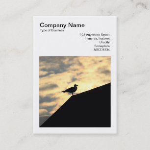 Square Photo (v3) - Herring Gull Sunset Visitekaartje