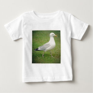 Square Photo - Walking Seagull