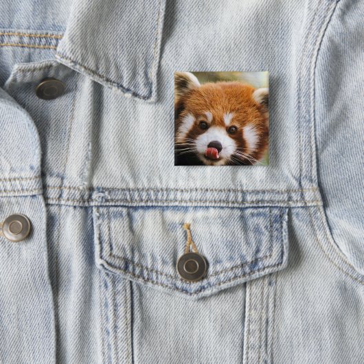 Square Red Panda Button (In situ)