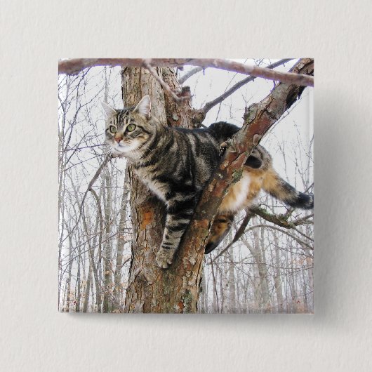 Square Tabby Cat Button (Voorkant)