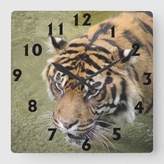 Square Tiger Clock Vierkante Klok (Voorkant)