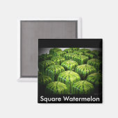 Square Watermelon Magneet (Voorkant / Achterkant)