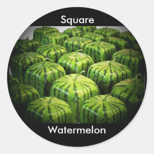 Square Watermelon Ronde Sticker