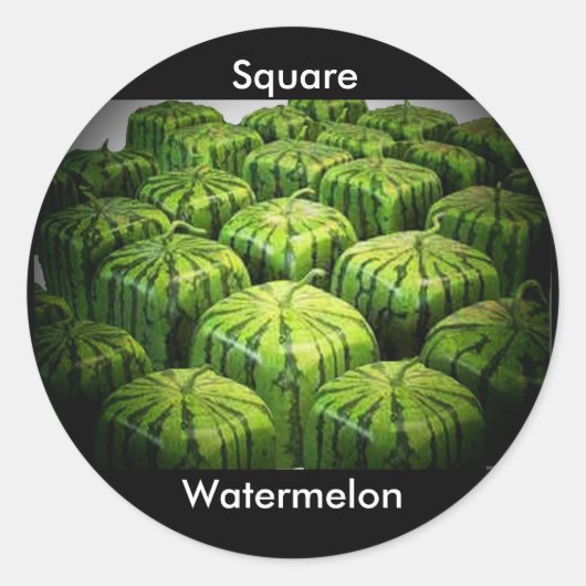 Square Watermelon Ronde Sticker (Voorkant)