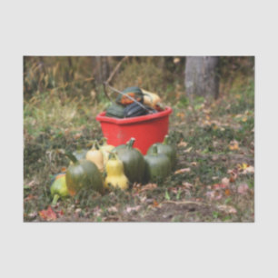 Squash Country Garden Harvest Orton Decoupage Tissuepapier