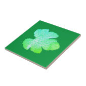 Squash Green Leaf Texture Sketch Tegeltje (Zijkant)