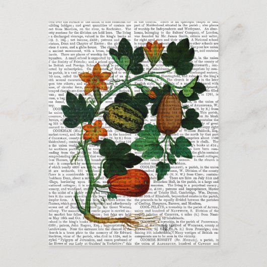 Squash Vine 1 Briefkaart (Voorkant)