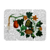 Squash Vine 1 Magneet (Horizontaal)