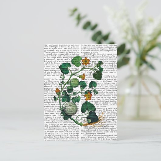 Squash Vine 2 Briefkaart (Staand voorkant)