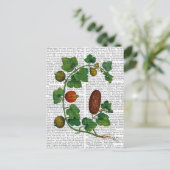 Squash Vine 3 Briefkaart (Staand voorkant)